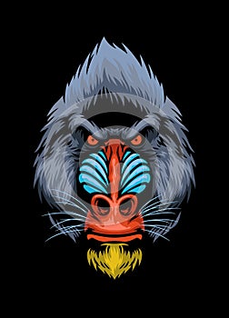 Hand Drawn style of Mandrill monkey head