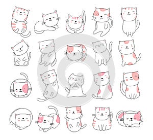 Hand drawn style white cute cat animal cartoon