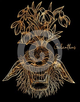 Hand drawn styled illustration with engraved funny demon or gnome face