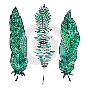 Hand drawn stylized feathers. Tropical art print. Decorative feather design. Poster or tattoo design