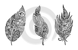 Hand drawn stylized feathers vector collection. Set of doodle tribal feathers. Cute zentangle feather for your design. Elements