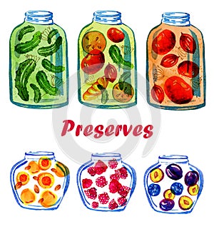 Hand drawn stylized illustration of fruit and vegetable preserves