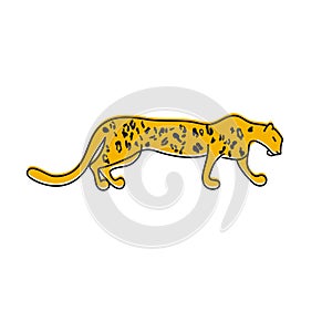 Hand drawn stylized leopard