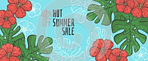 Hand drawn summer banner Vector.