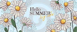 Hand drawn summer banner Vector.