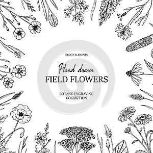 Hand drawn summer wild flowers frame. Vector illustration in sketch stile