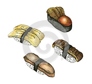 Hand drawn sushi set Japanese food