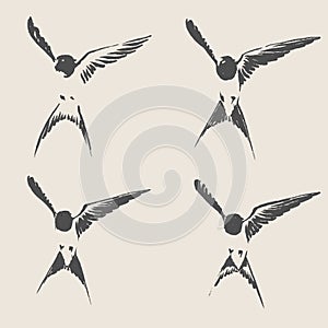 Hand drawn swallow vector illustration.