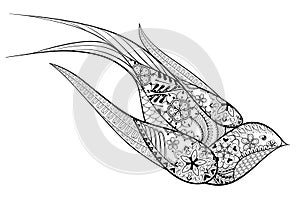 Hand drawn swallow. Vector illustration in zentangle style isol