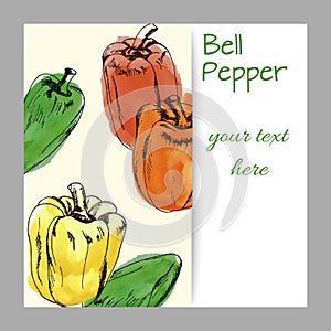 Hand drawn sweet bell peppers watercolor, cover design, menus