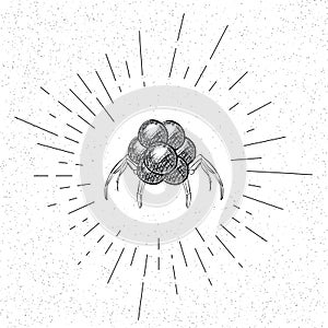 Hand Drawn Symbol of Nanorobot Doodle Vector Hatch Icon