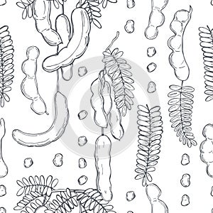 Hand drawn Tamarind.  Vector seamless pattern photo