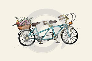 Hand drawn tandem city bicycle with basket of flower. Vintage, retro style. Sketch vector colorful illustration.