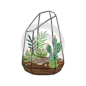 Hand drawn terrarium with succulents and cactuses composition. Stylish decorative mini garden isolated on white