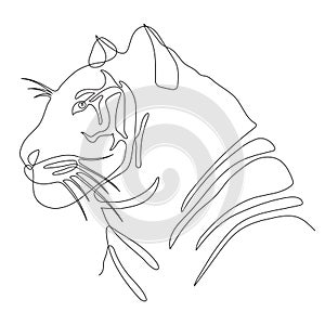 Hand drawn tiger icon, one line art, stylized continuous outline. Feline predator head logo, symbol of 2022 year. Doodle, sketch photo