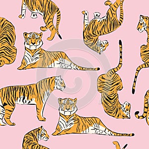 Hand drawn tiger seamless pattern, big cats in different position, orange tigers on pink, exotic background, flat vector