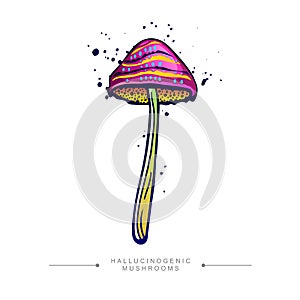 Hand drawn toadstool concept. Amazing drawing of a fly agaric psilocybin mushroom. Toxic magical hallucinogenic mushroom