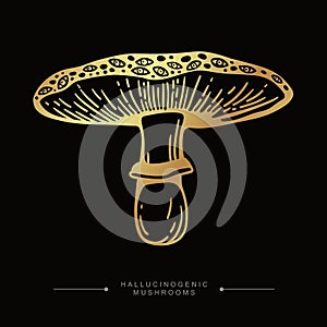 Hand drawn toadstool concept. Golden drawing of a fly agaric psilocybin mushroom. Toxic magical hallucinogenic mushroom. Fly