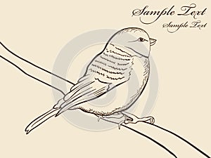 Hand drawn tomtit