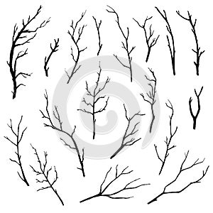 Hand drawn tree branches collection.