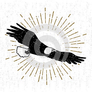 Hand drawn tribal icon with a textured eagle vector illustration