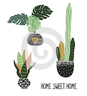 Hand drawn tropical house plants. Vector print design with lettering - `home sweet home`.