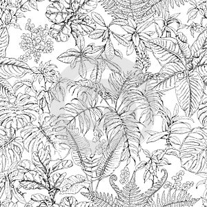 Hand Drawn Tropical Plants Pattern