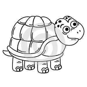 Hand drawn turtle character illustration
