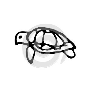 Hand Drawn turtle doodle. Sketch style icon. Decoration element. photo