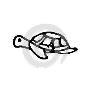 Hand Drawn turtle doodle. Sketch style icon. Decoration element. photo