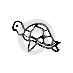 Hand Drawn turtle doodle. Sketch style icon. Decoration element. photo