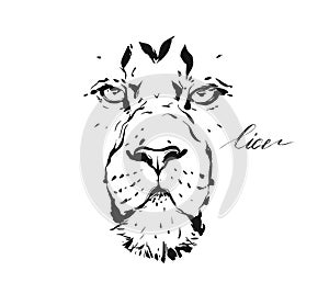 Hand drawn vector abstract artistic ink textured graphic sketch drawing illustration of wildlife lion head isolated on