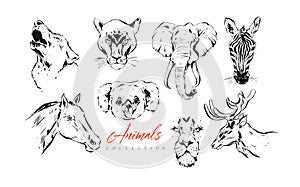 Hand drawn vector abstract artistic ink textured graphic sketch drawing illustrations collection set bundle of animals photo