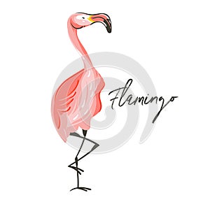 Hand drawn vector abstract cartoon summer time graphic decoration illustrations art with exotic tropical pink flamingo