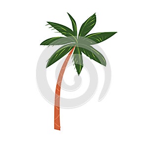 Hand drawn vector abstract cartoon summer time graphic illustrations art with exotic tropical palm tree isolated on