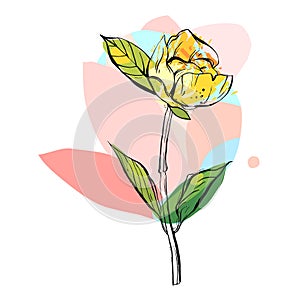 Hand drawn vector abstract creative graphic colorful flower illustration isolated on white background.Unusual universal