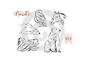 Hand drawn vector abstract graphic animals set collection of swan,polar bear,horse and owl ink brush painted isolated on