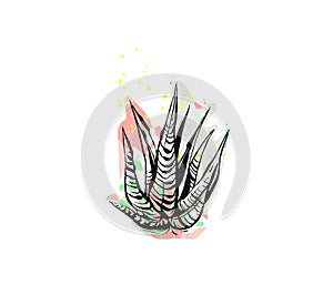 Hand drawn vector abstract graphic drawing aloe vera plant with freehand texture isolated on white background.Unique