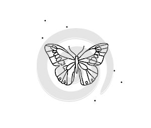 Hand drawn vector abstract stock flat graphic illustration with logo element,bohemian magic art of butterfly line art in