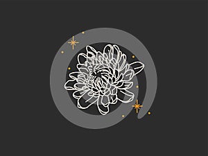 Hand drawn vector abstract stock flat graphic illustration with logo elements,magic line art of peony flower and stars