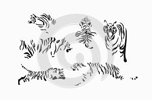 Hand drawn vector abstract stock graphic cartoon illustrations set with beauty cute trendy wildlife white,drawing tiger