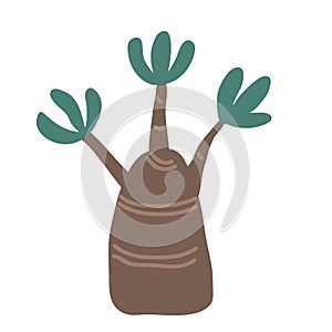 Hand drawn vector adenium or bottle tree icon. Doodle Scandinavian style illustration isolated on white background. Cute