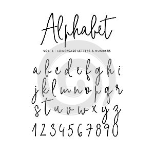 Hand drawn vector alphabet. Modern monoline signature script font. Isolated lower case letters and numbers written with photo