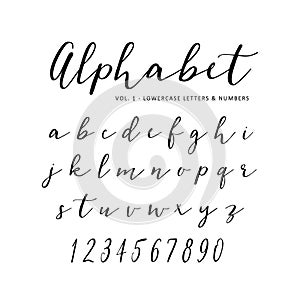 Hand drawn vector alphabet. Script font. Isolated letters written with marker or ink. Lettering.