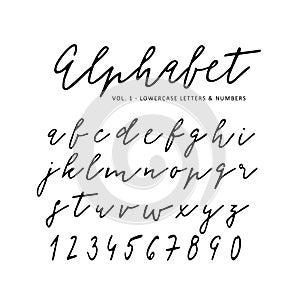 Hand drawn vector alphabet. Signature script font. Isolated letters written with marker, ink. Calligraphy, lettering. photo