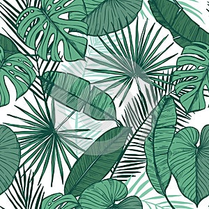 Hand drawn vector background - Palm leaves monstera, areca palm