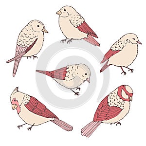 Hand drawn vector birds line art set. Cute little creatures in pastel colors isolated on white background