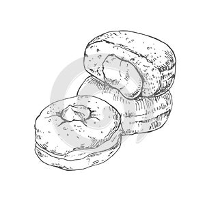 Hand drawn vector bombolone berliner illustration set photo