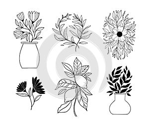 Hand drawn vector botanical illustrations. Linear flowers, vase, leaves, fruits, silhouette. Simple graphics. Perfect for logos,