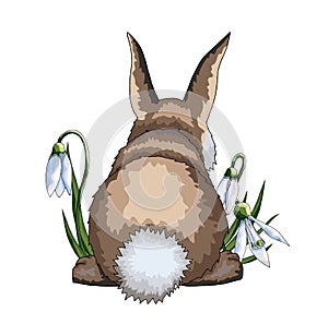 Hand drawn vector cartoon halftone flat creative Easter hare or rabbit